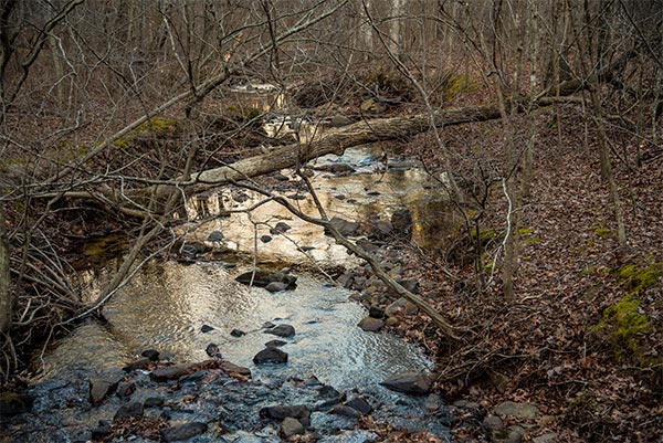 Rocky creek in the forest of Hawn State Park, Missouri