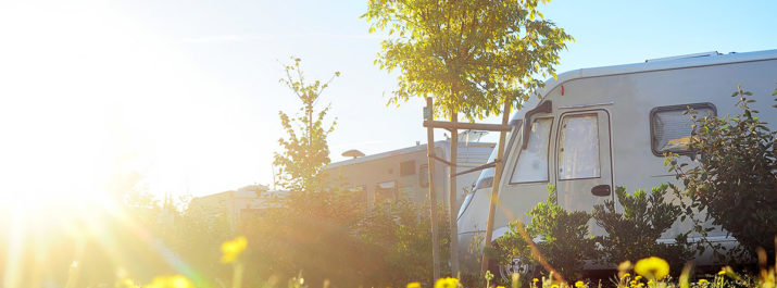 Glaring sun shines on RVs in a campground with small newly planted trees